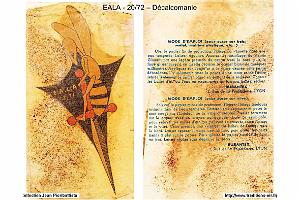 193- ARMEE DE L'AIR EN ALGERIE 1945-1962-41 (9)